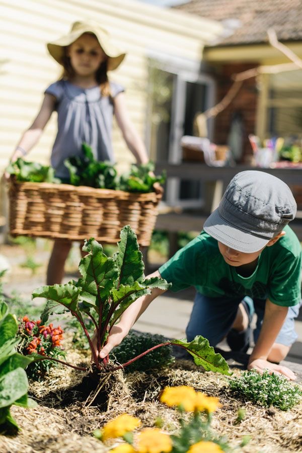 Green Harvest 