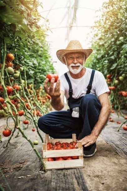  Life is better when you're surrounded by colorful veggies.