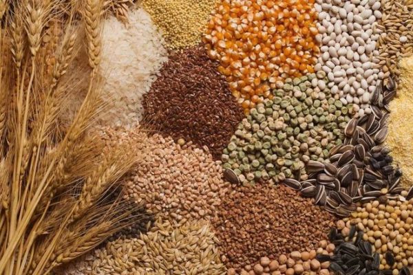 Grain Analysis Market