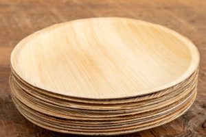 Palm Leaf Round Plates, Set of 12 - 8 Inch