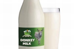 donkey-milk